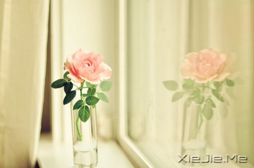 晚安心语:愿细水流年时,地老天荒 (9)