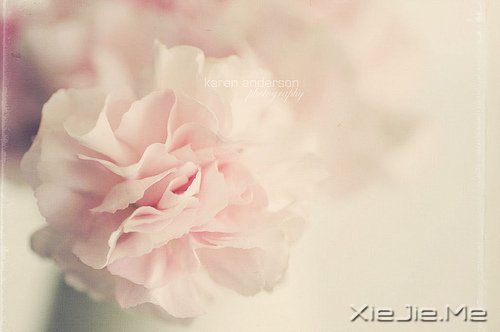 晚安心语:身在万物中,心在万物上 (9)