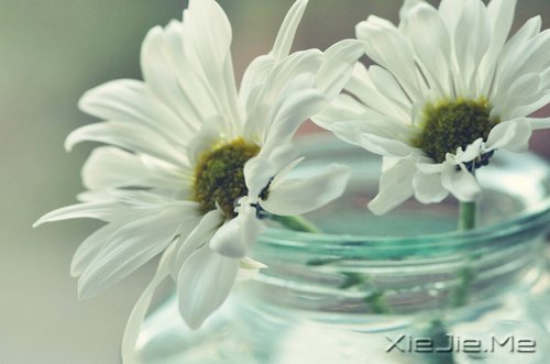 经过人生的荒凉,才能抵达内心的繁华 (9)