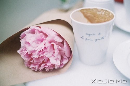 对未来的真正慷慨,是把一切献给现在 (1)