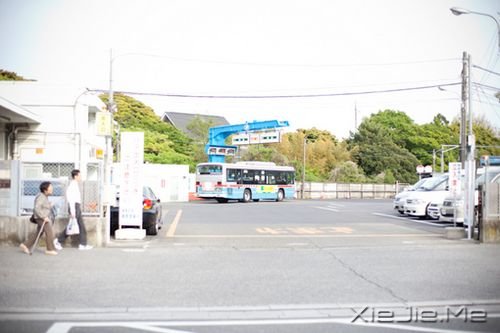 晚安心语:我看起来没心没肺,但其实比谁都真心真意 (7)