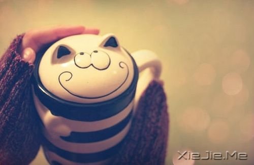 早安心语:忍不了痛苦,就见不到幸福 (4)