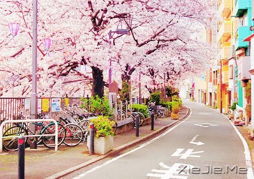 晚安心语:总有些瞬间,能温暖整个曾今 (5)