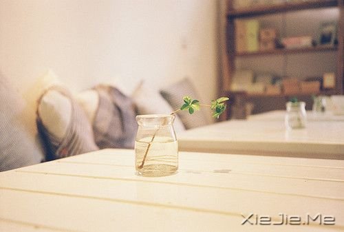 早安心语:为了等你,我错过了等我的人 (4)