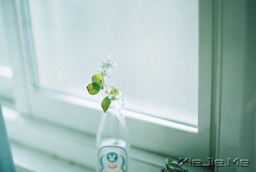 早安心语:为了等你,我错过了等我的人 (6)