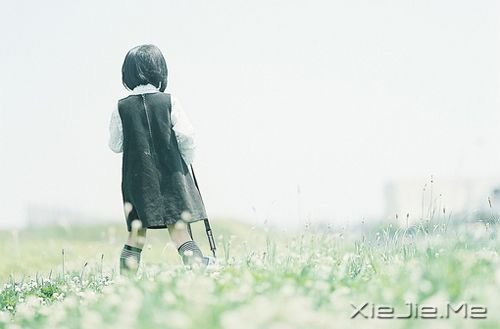 早安心语:淡然,是人生的一种成长 (5)