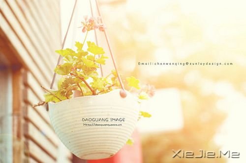 晚安心语:人不怕走在黑夜里,就怕心中没有阳光 (4)