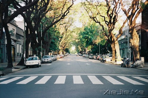 晚安心语:你没那么多观众,别那么累 (8)