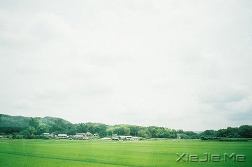 早安心语:不必仰望别人,自己亦是风景 (3)