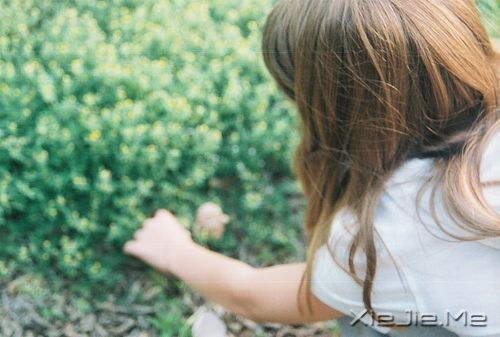 һּ򵥵Ĺ켣 (2)