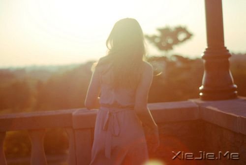 晚安心语:美从来不少,只要去寻找 (9)