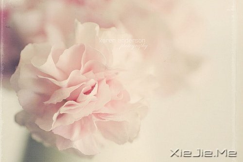 晚安心语:勇敢生活,微笑面对 (5)