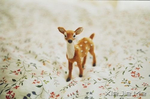 晚安心语:有些事不说,不代表不知道 (10)