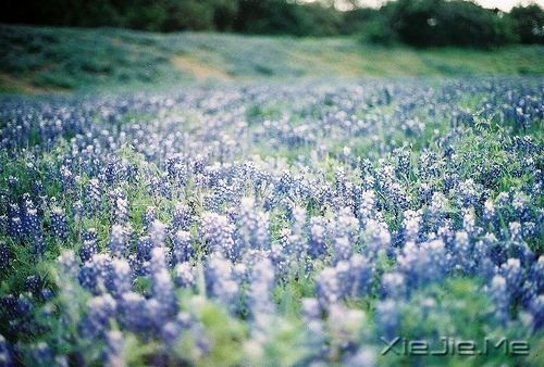 晚安心语:不要因为一时的心烦,做出一辈子的傻事 (3)