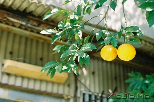 晚安心语:拥有的越少,就越懂得去珍惜 (5)