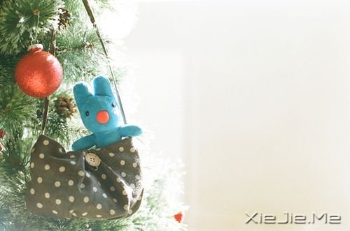 早安心语:生活只有经得起平静,方才显淡泊宁静的真实 (4)