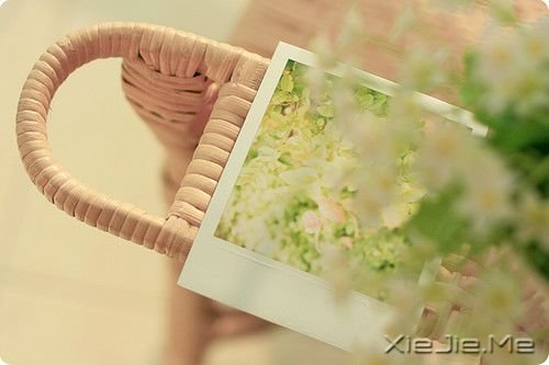 早安心语:有人能让你痛苦,说明你的修行还不够 (3)