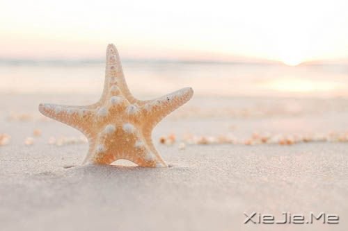 早安心语:你这么害怕明天,怎能过好今天 (11)