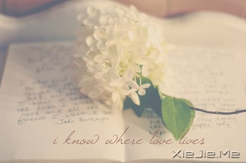 晚安心语:与其担心未来,不如现在好好努力 (8)