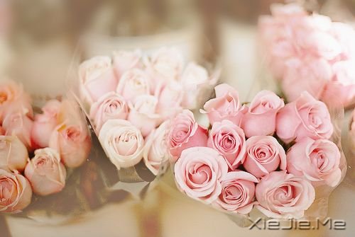 早安心语:永远面朝阳光,阴影就会被甩到后面 (4)