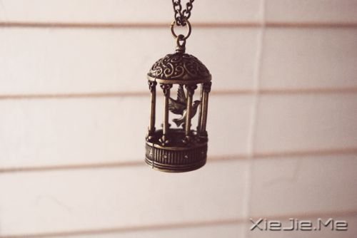 晚安心语:有一些教训没办法教,只有自己经历过才会懂 (2)