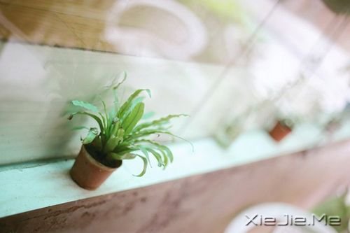 早安心语:开始为了梦想而忙,后来忙得忘了梦想 (4)