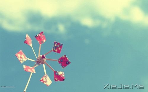 早安心语:有些痛苦,适合无声无息的忘记 (1)