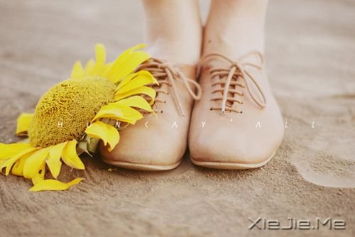 爱情心语:最美好的承诺,不是我爱你,而是我会一直爱着你 (4)