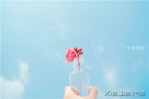 遇见了,就好好珍惜 (1) 小清新图片 (1)