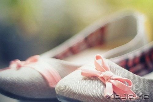 英文心语:无需等待,没有比当下更好的时间 (8)