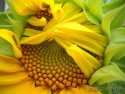 一个人流浪,不必去远方 (11)