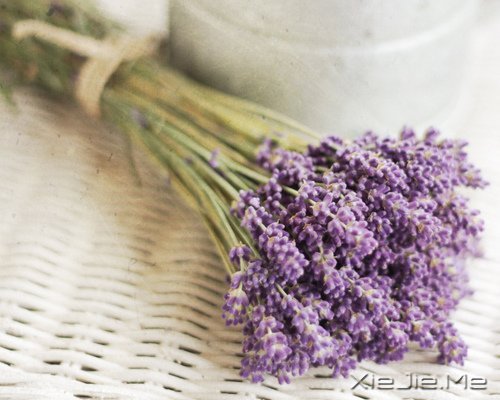 老头子,我要走了,抱抱我吧