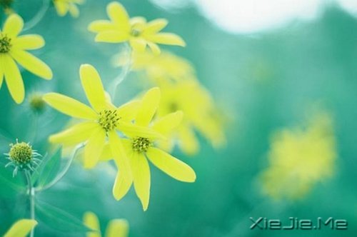 相信才会靠近,请成为自己世界里的英雄