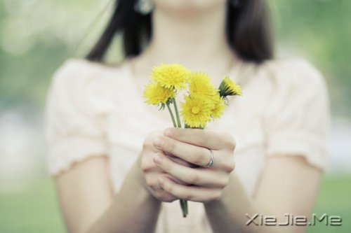 生活就是一个七天接一个七天