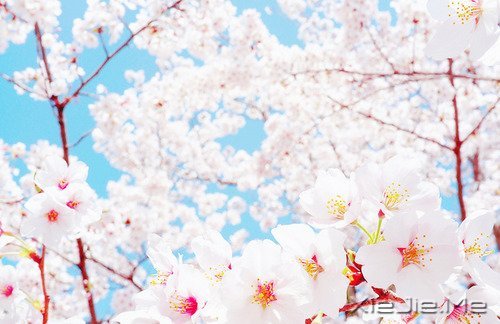 经典语录:50条超美的句子 (1)