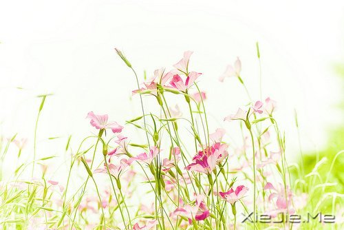 10首温暖的英文歌曲推荐 (5)