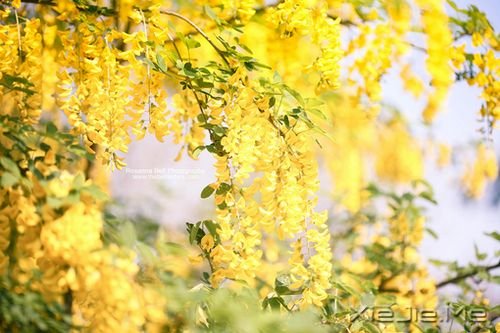 趁着青春还在,年轻时要做的30件事