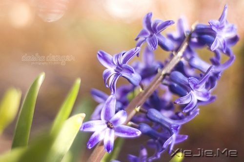 48部外国世界名著中的经典语句