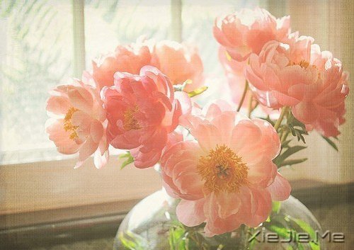 你真正需要的,是在时间里学会长大