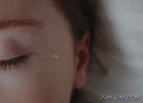 适当的放弃,是人生优雅的转身 (5)