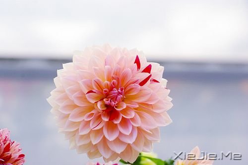 那些够得着的才是稳稳的幸福