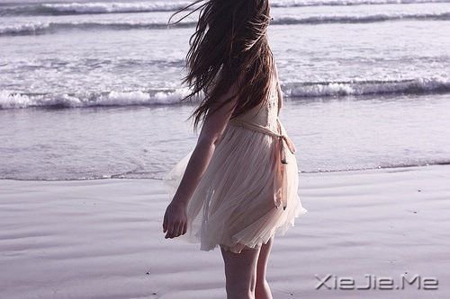 半个人,不需要两个人的阳光 (3)