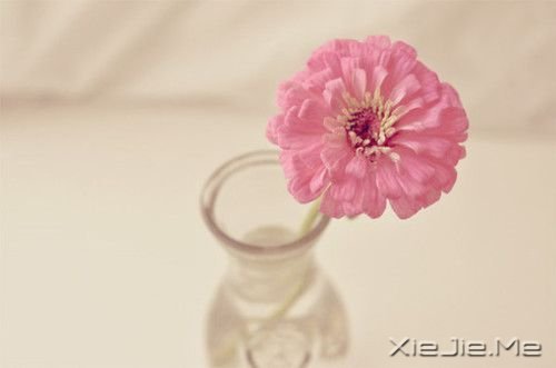 经典语录:20条经典人生感悟 (3)