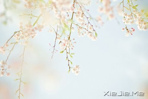 安静,一种淡淡的祥和 (9)