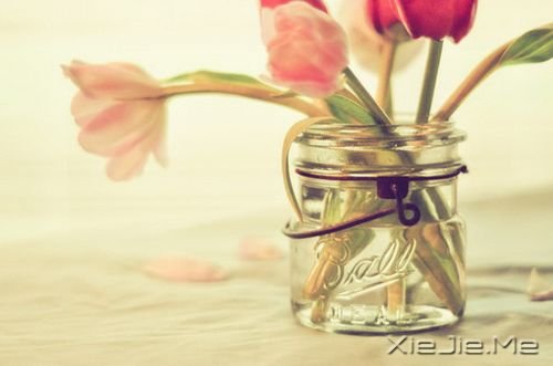 请让我从容地品尝这生命的滋味