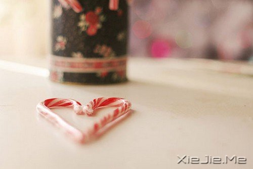 爱情是灯,友情是影子