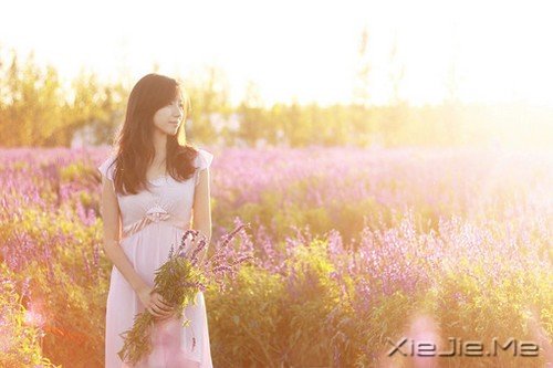 静谧铭心的爱情微故事